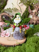 Load image into Gallery viewer, Amethyst Cluster with Gnome