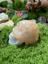 Load image into Gallery viewer, Flower Agate Skull

