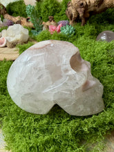 Load image into Gallery viewer, Flower Agate Skull
