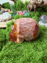 Load image into Gallery viewer, Carnelian Crystal Skull
