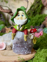 Load image into Gallery viewer, Amethyst Cluster with Gnome
